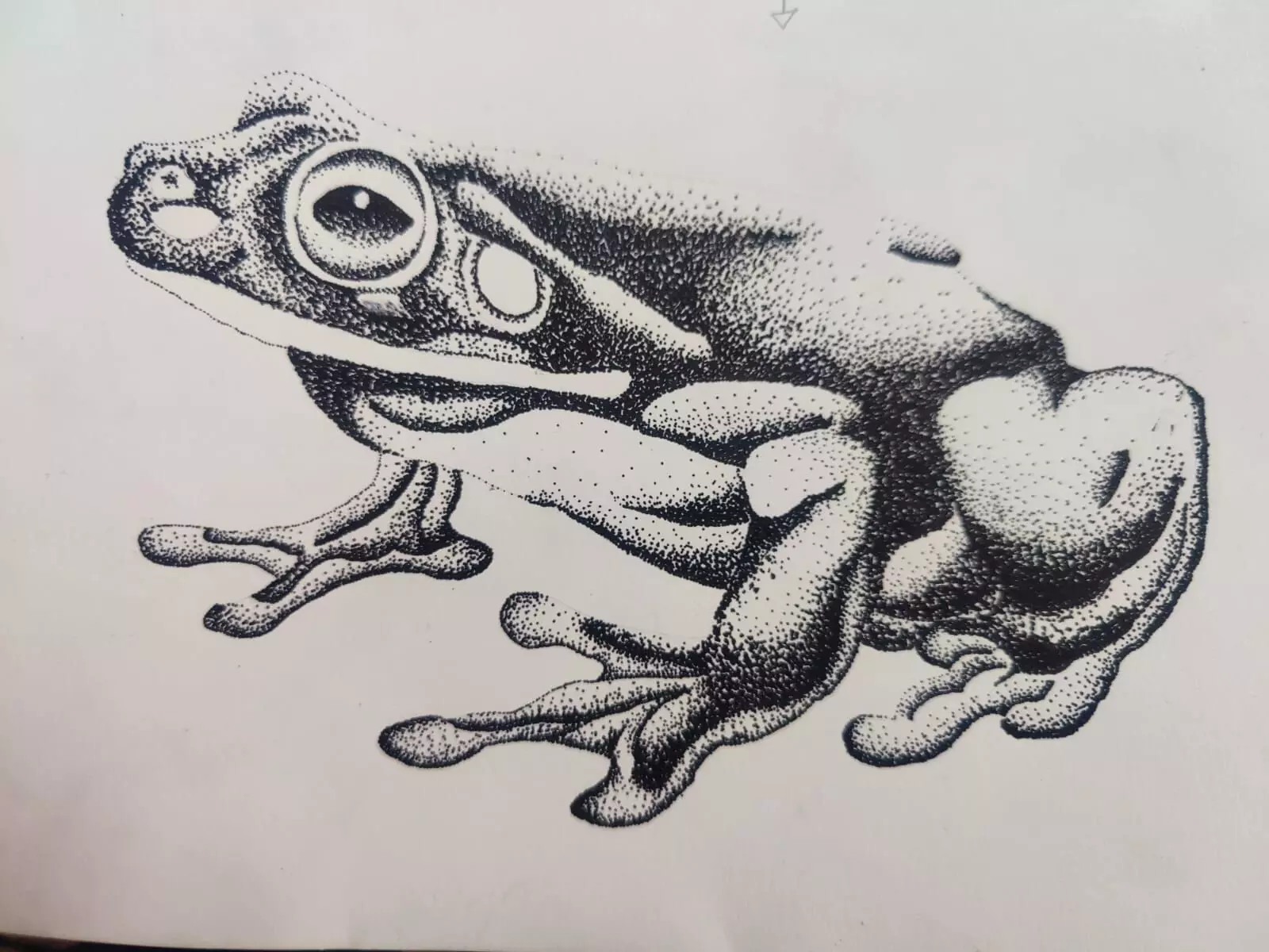 Pencil Art By Rishwanth Ragav 6th std Pencil Art By Rishwanth Ragav 6th std