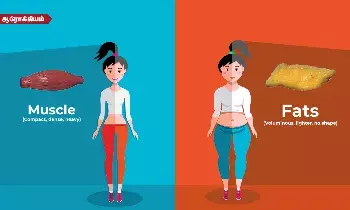 எடை குறைப்பு வேறு... கொழுப்பு குறைப்பு வேறு... வித்தியாசத்தை தெரிஞ்சுக்கோங்க... எடை குறைப்பு வேறு... கொழுப்பு குறைப்பு வேறு... வித்தியாசத்தை தெரிஞ்சுக்கோங்க...