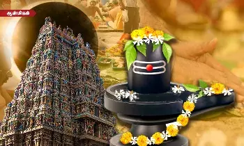 தை அமாவாசை ஏன் அவ்வளவு சிறப்பு? மகத்துவங்கள் என்ன? திதி கொடுக்க உகந்த நேரம் எது? தை அமாவாசை ஏன் அவ்வளவு சிறப்பு? மகத்துவங்கள் என்ன? திதி கொடுக்க உகந்த நேரம் எது?