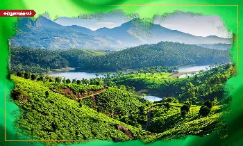 தென்னகத்து காஷ்மீர் என்றழைக்கப்படும் மூணாறில் பார்க்க வேண்டிய முக்கிய இடங்கள்!