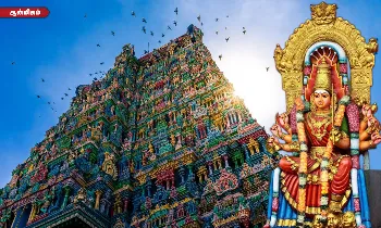 கோடி நன்மை தரும் ஆடி செவ்வாய் வழிபாடு - நம்பிக்கையோடு கும்புடுங்க! கோடி நன்மை தரும் ஆடி செவ்வாய் வழிபாடு - நம்பிக்கையோடு கும்புடுங்க!