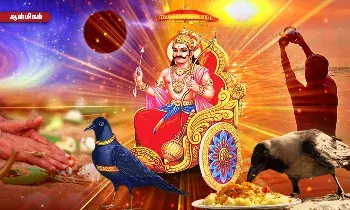 ஆடி அமாவாசை முழு தகவல் - இந்த ஒரு தானம் செஞ்சு, காக்கைக்கு சோறு வைங்க!