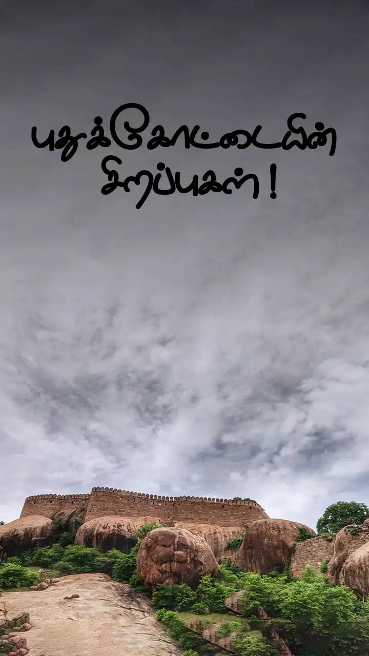 புதுக்கோட்டை சமஸ்தானம்!