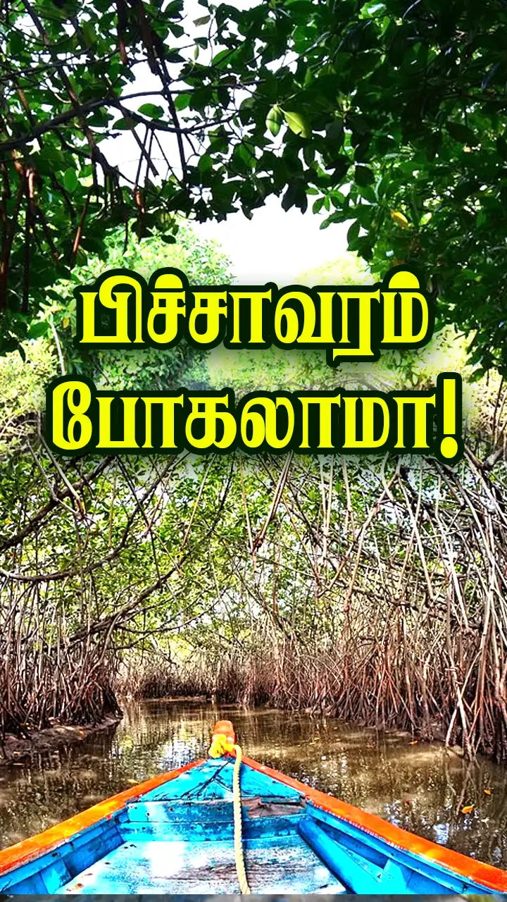 பண்டைய வணிக பாதை!