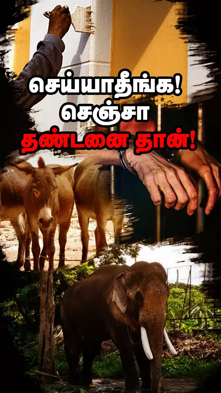 வித்தியாசமான நாடுகள்!