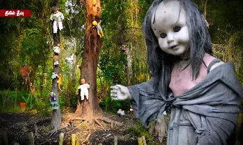 திகிலை கிளப்பும் பொம்மை தீவு! அந்தரத்தில் தொங்கும் பேய் பொம்மைகள்? திகிலை கிளப்பும் பொம்மை தீவு! அந்தரத்தில் தொங்கும் பேய் பொம்மைகள்?