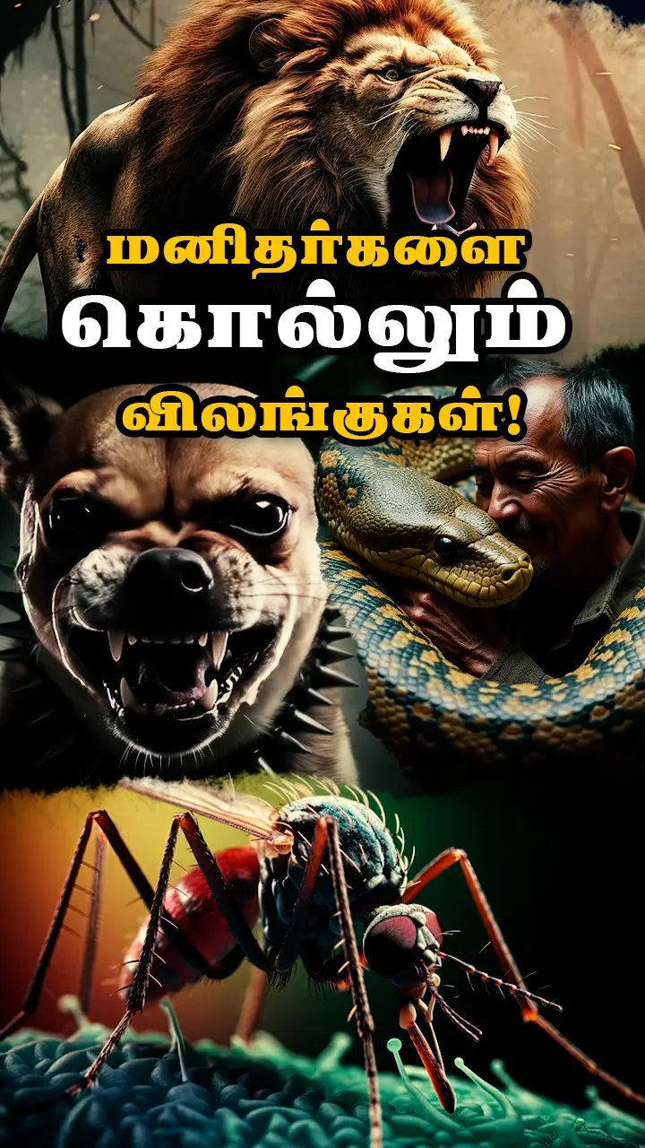 ஆபத்தான உயிரினங்கள்!