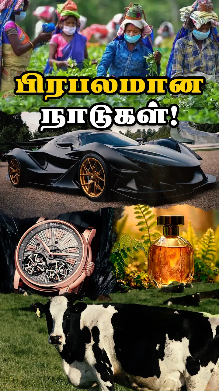 உற்பத்தியில் சிறந்த நாடுகள்!