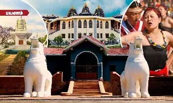 இம்பாலின் மிதக்கும் தீவுகள் - நம்பமுடியாத மயக்கும் பயணம்! இம்பாலின் மிதக்கும் தீவுகள் - நம்பமுடியாத மயக்கும் பயணம்!