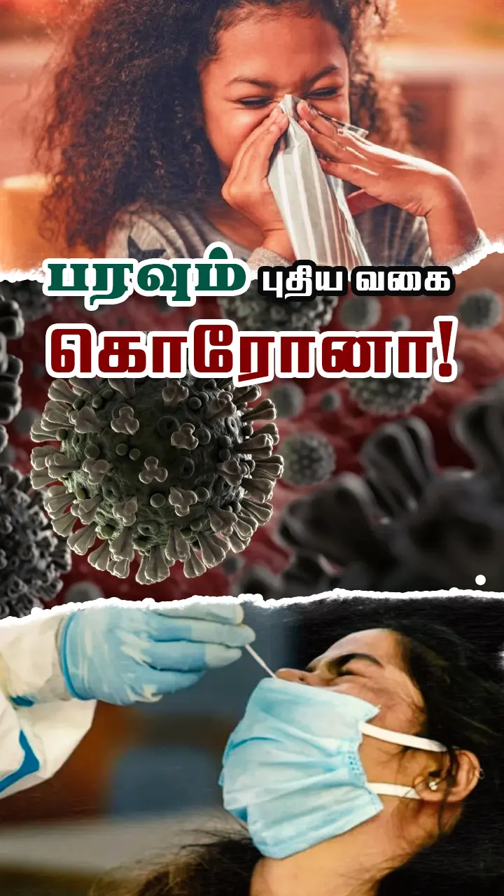 என்ன செய்ய வேண்டும்?