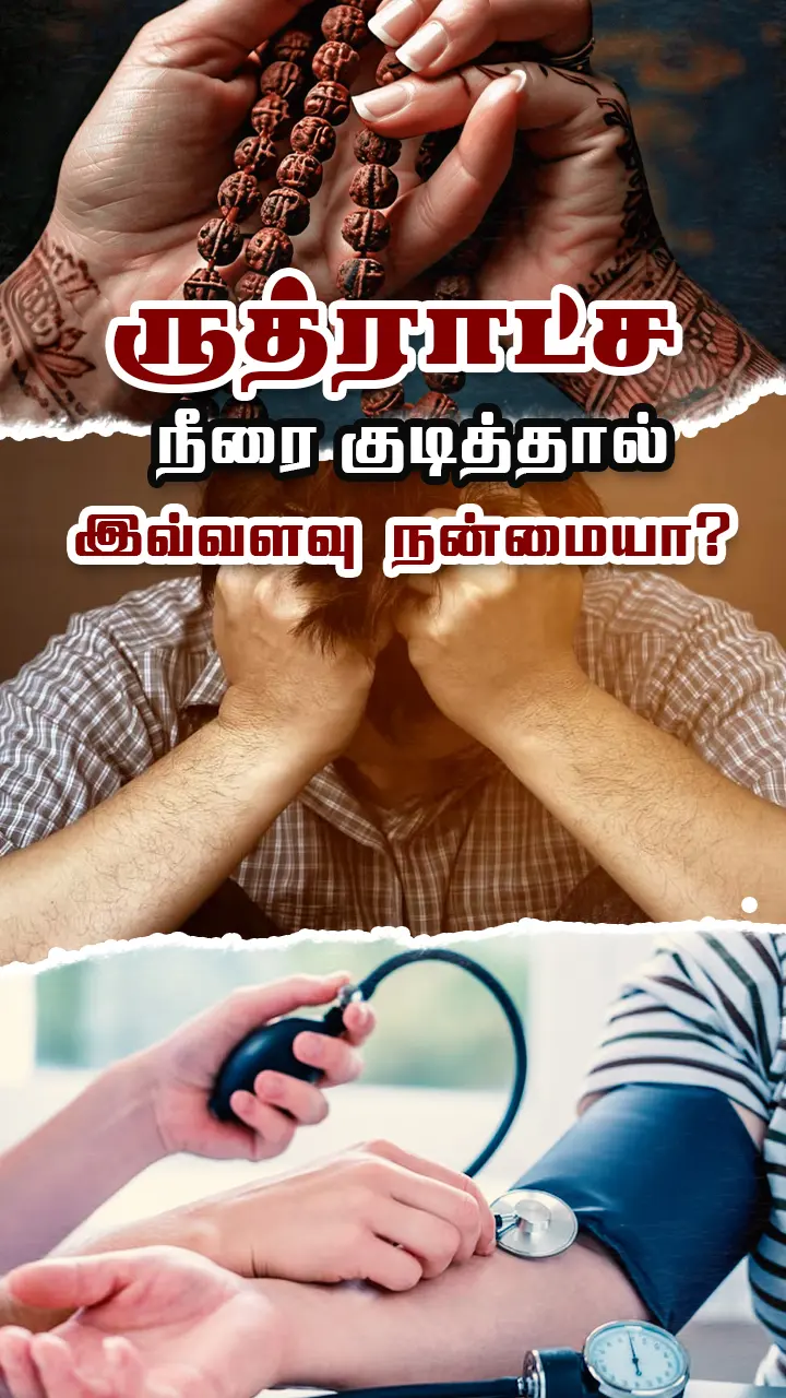 ருத்ராட்சம் - மருத்துவம் என்ன சொல்கிறது?