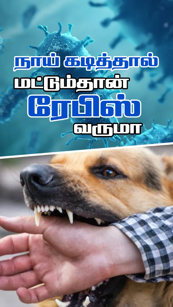 பூனை, மாடு கடித்தாலும் ரேபிஸ் வரும்!